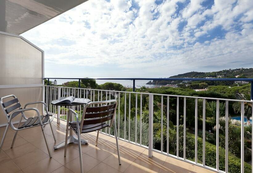 Quarto Superior, Alga