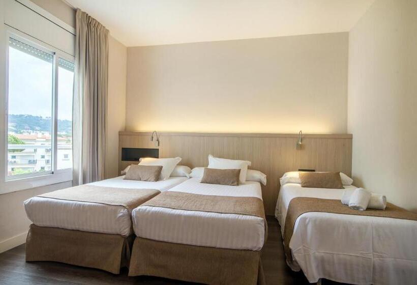 Quarto Estandar, Alga