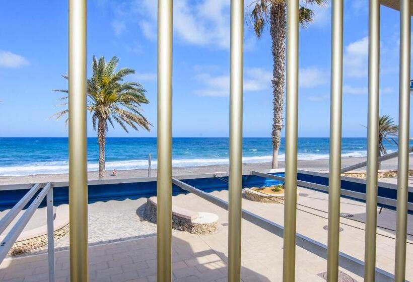 غرفة قياسية مطلّة علي البحر, Miramar