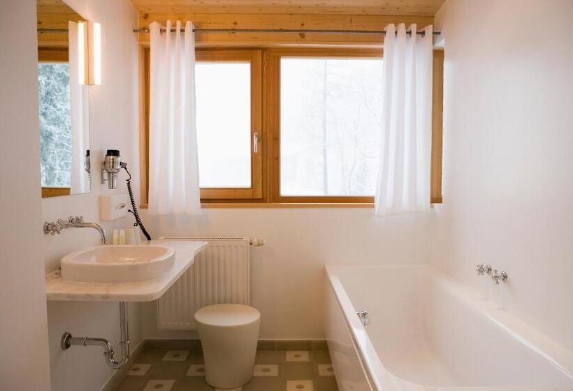 Студия Стандарт, Alpine Spa Hotel Haus Hirt