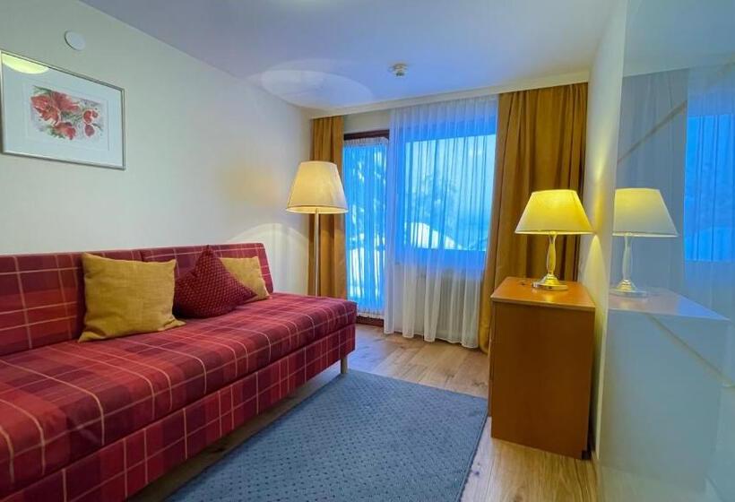 Полулюкс Одноместный с Террасой, Seehotel Ressmann