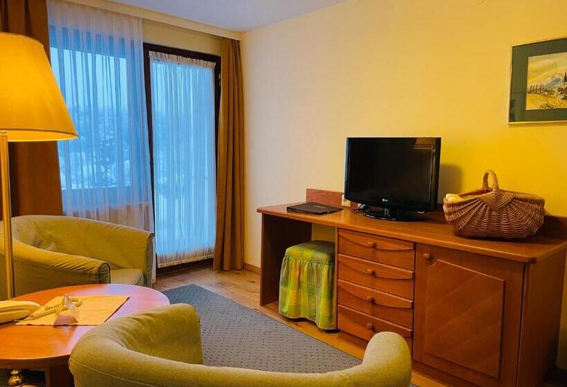 Полулюкс Одноместный с Террасой, Seehotel Ressmann