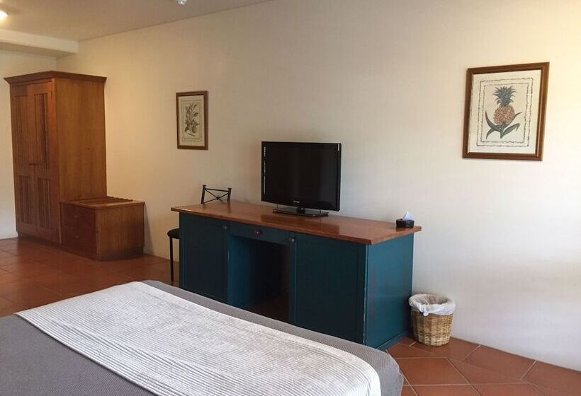 Номер Стандарт, Sovereign Resort