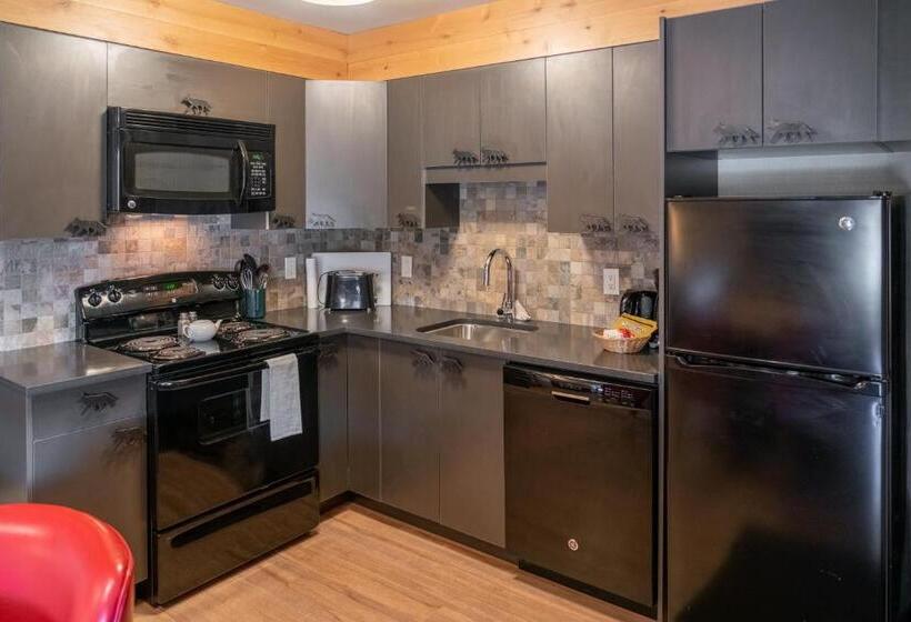 １ベッドルームのスーペリアアパートメント, Banff Rocky Mountain Resort