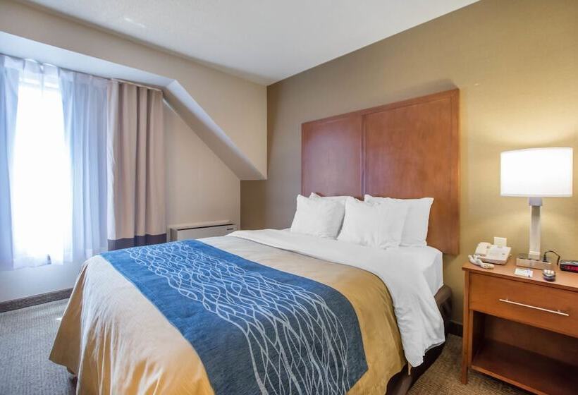 ２ダブルベッドのスタンダードルーム, Comfort Inn