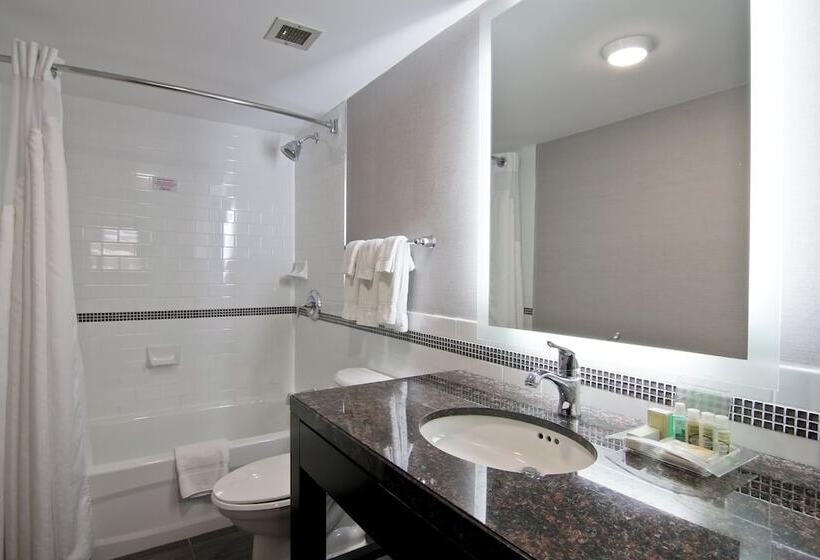 스위트, Holiday Inn Hotel & Suites St.catharines-niagara, An Ihg