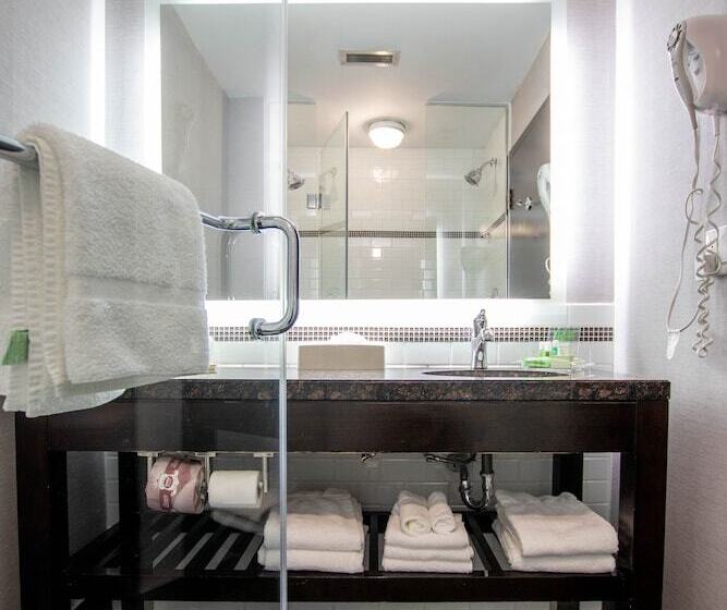 스위트, Holiday Inn Hotel & Suites St.catharines-niagara, An Ihg