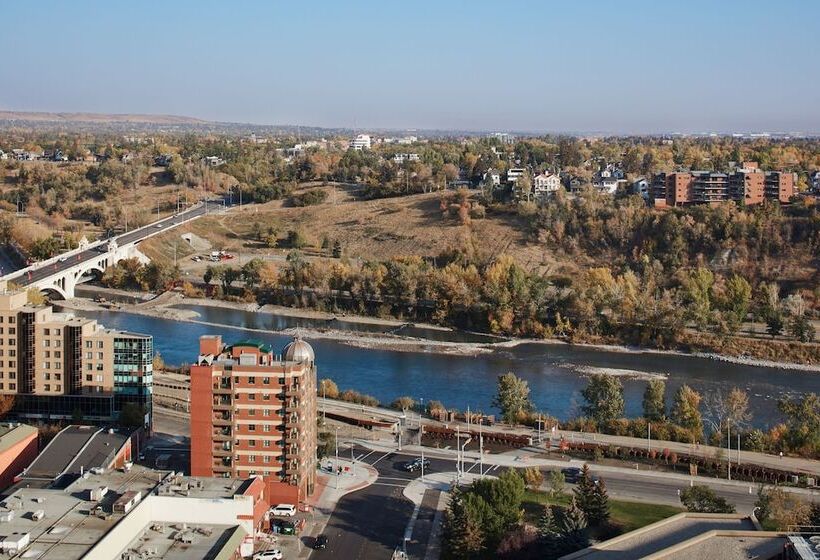 ダブルベッドのスタンダードスタジオ, Delta Hotels By Marriott Calgary Downtown