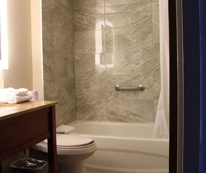 스탠다드 스튜디오, Surestay Plus By Best Western Windsor