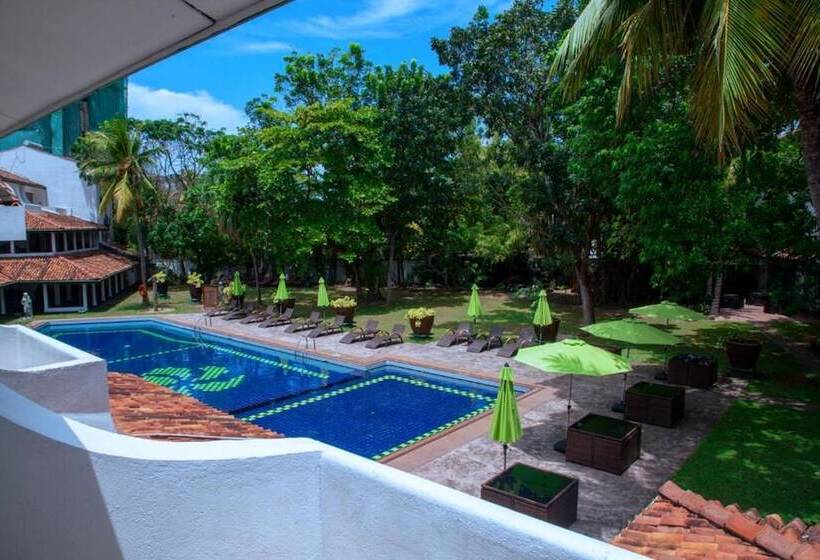 豪华房间, Palms, Mount Lavinia