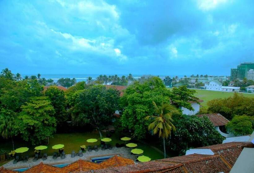 豪华三人间, Palms, Mount Lavinia