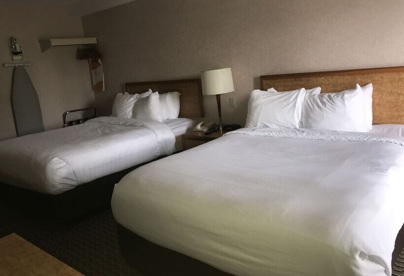 ２ダブルベッドのスタンダードルーム, Rodeway Inn