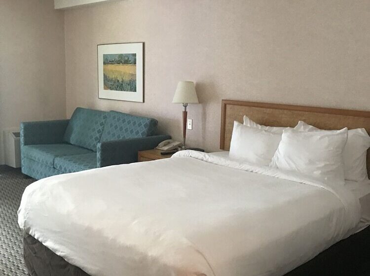 キングサイズベッドのスタンダードルーム, Rodeway Inn
