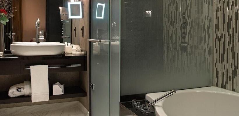 豪华工作室, Schweizerhof Bern & Spa