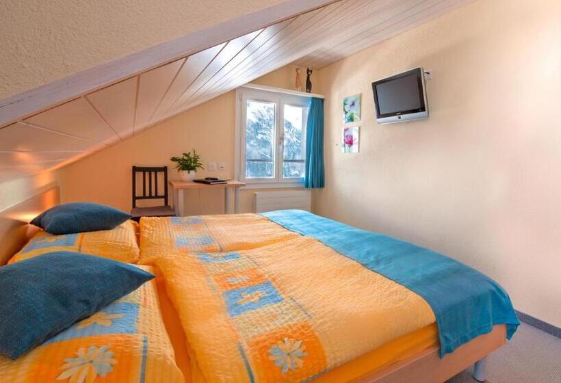 اتاق استاندارد با سرویس بهداشتی مشترک, Eiger Mürren Swiss Quality
