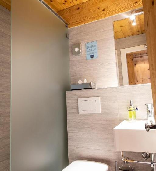 Номер Стандарт, Hôtel Alpina   Swiss Ski & Bike Lodge Grimentz
