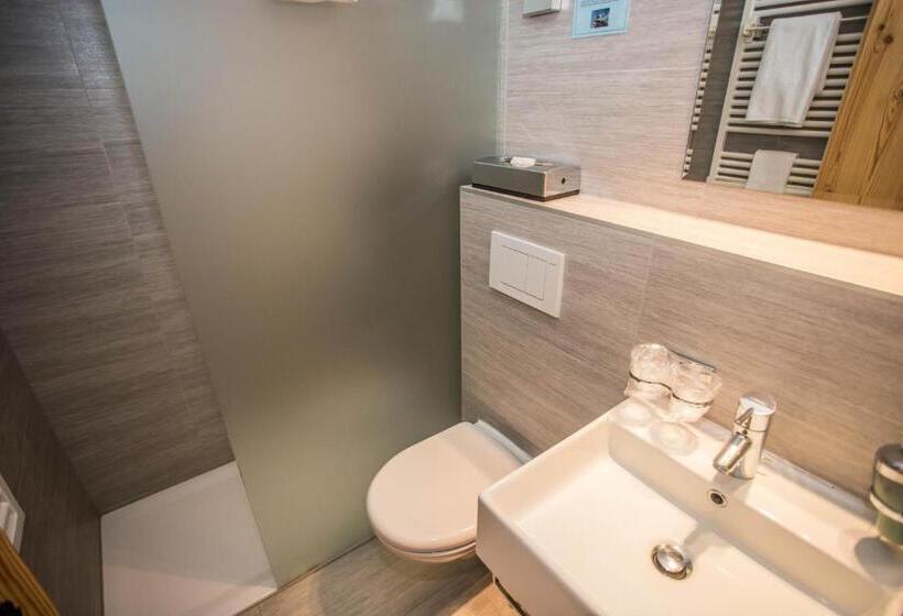 Номер Стандарт, Hôtel Alpina   Swiss Ski & Bike Lodge Grimentz