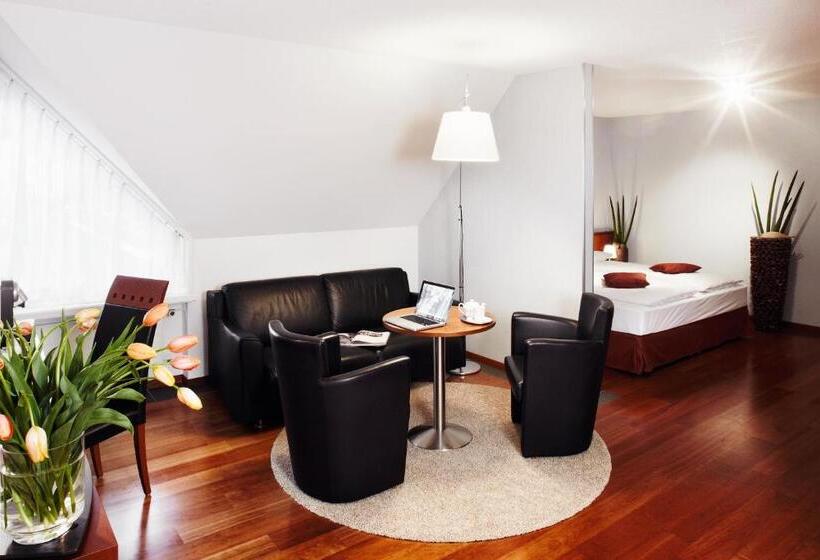 Номер Премиум, Mövenpick Hotel Egerkingen