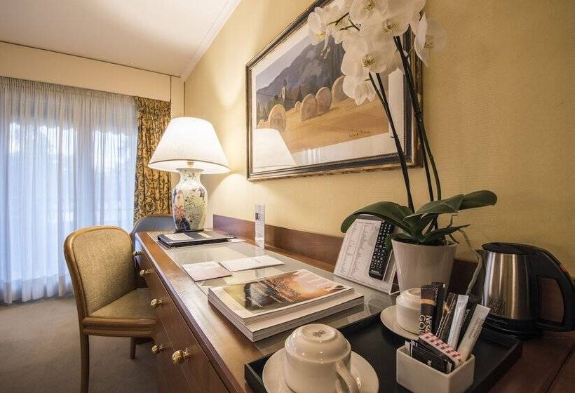Номер Стандартный с Видом, Royal Plaza Montreux