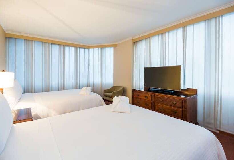 주니어 스위트, Cosmos 100 Hotel & Centro De Convenciones   Hoteles Cosmos
