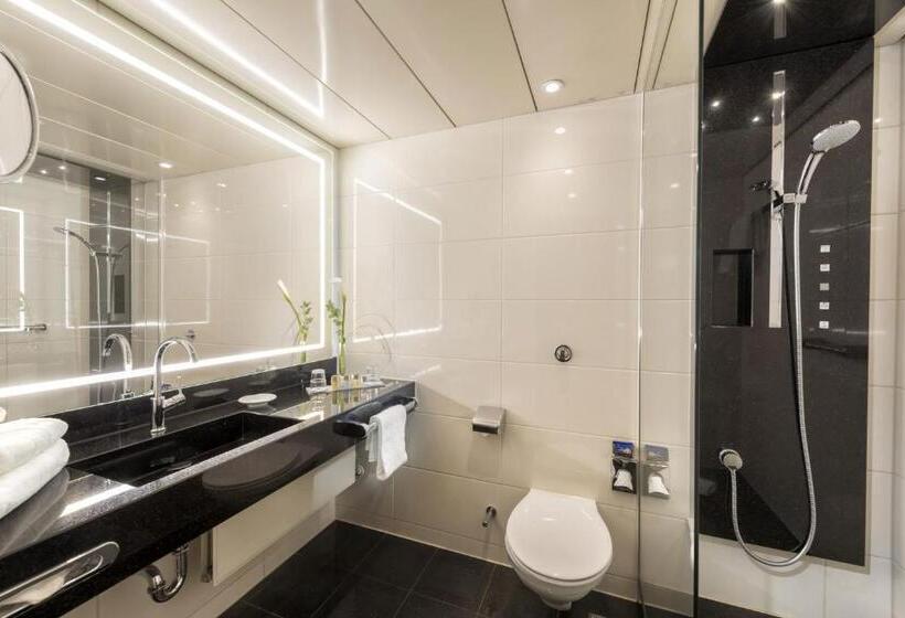 套房, Maritim Hotel Bonn
