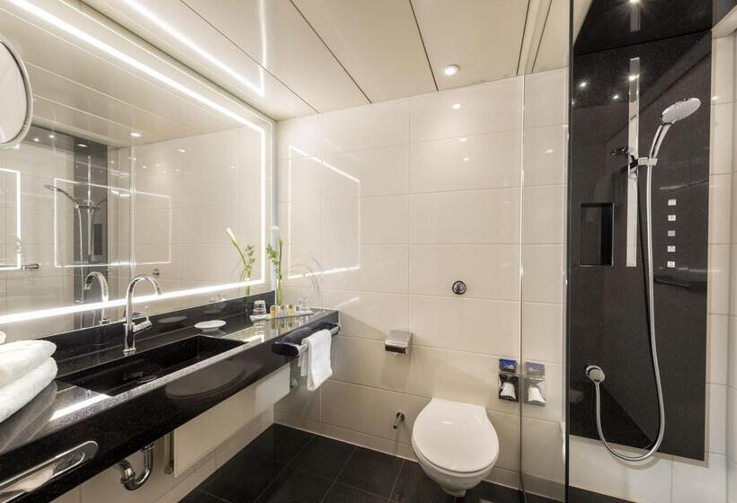高级大房间, Maritim Hotel Bonn