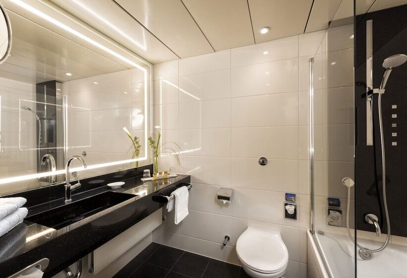 古典房间, Maritim Hotel Bonn