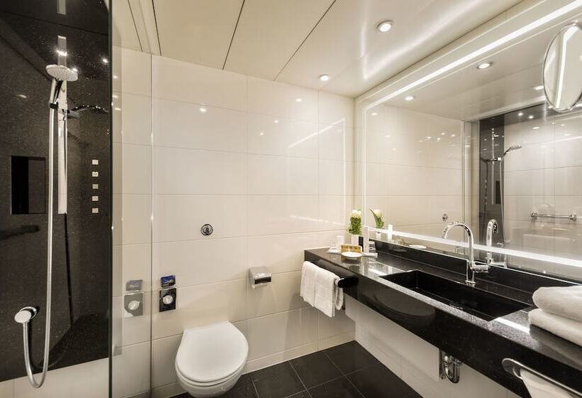 高级大房间, Maritim Hotel Bonn