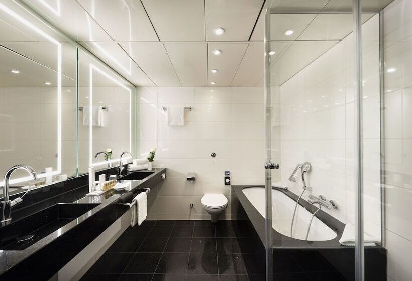 家庭套房, Maritim Hotel Bonn