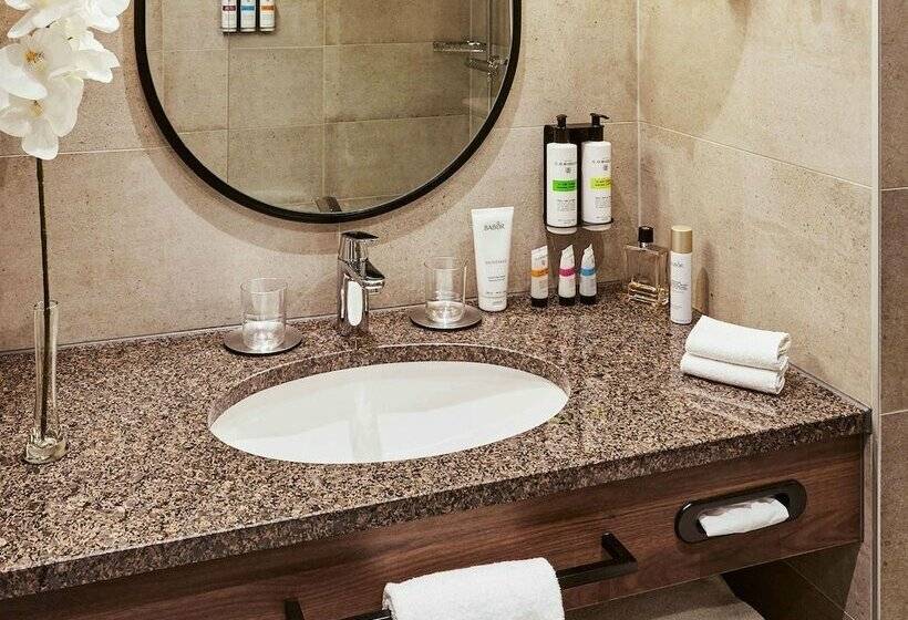 اتاق سوپریور, Pullman Stuttgart Fontana