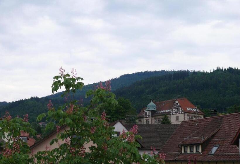 Семейный Номер, Restaurant   Metzgerei Sonne