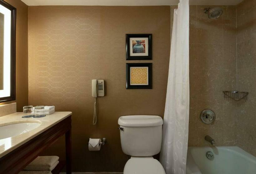 标准间, Sheraton Santo Domingo