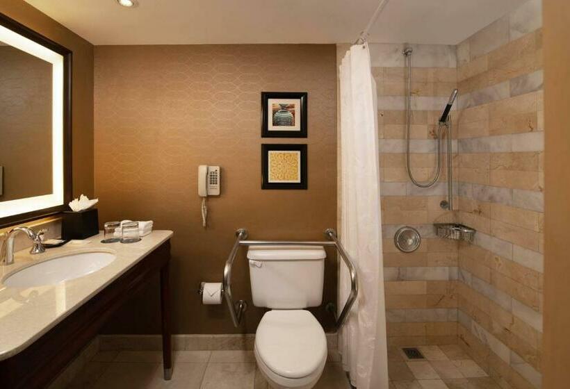带大床的标准间, Sheraton Santo Domingo