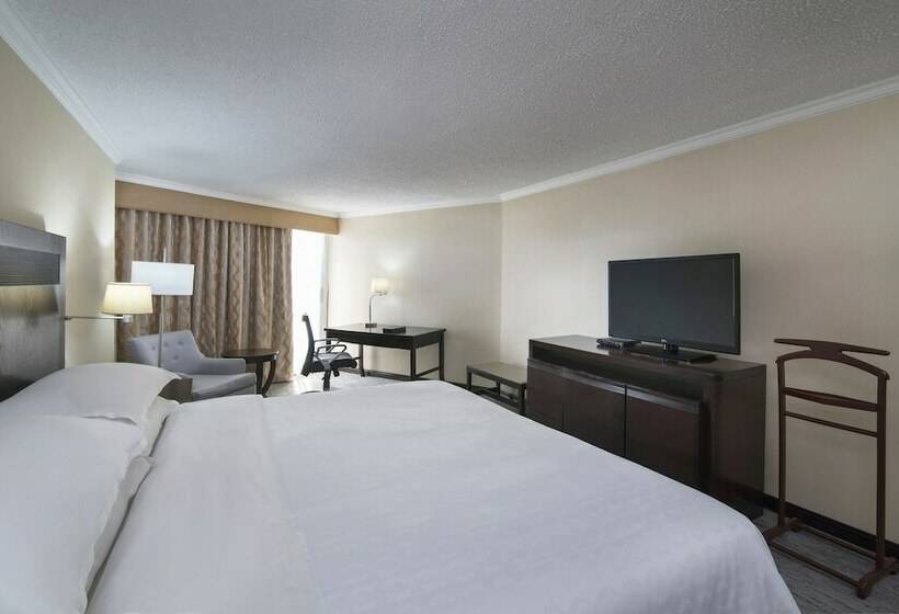 带海景的俱乐部房间, Sheraton Santo Domingo