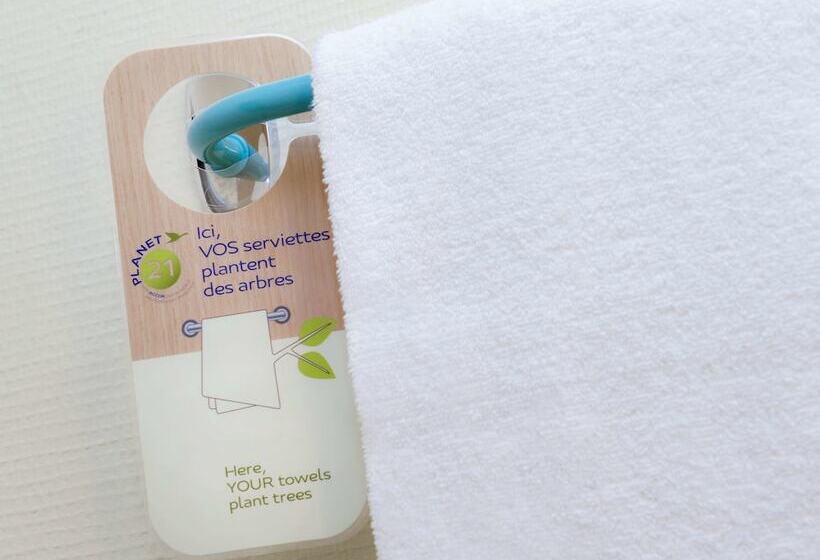 Номер Стандарт Двуспальная Кровать, B&B Grenoble Université 2