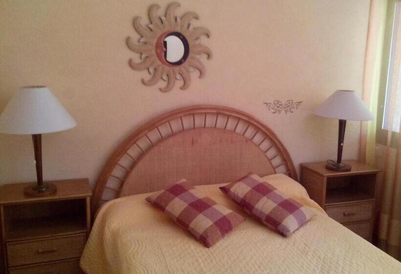 이코노미 룸, Hôtel Les Palmiers