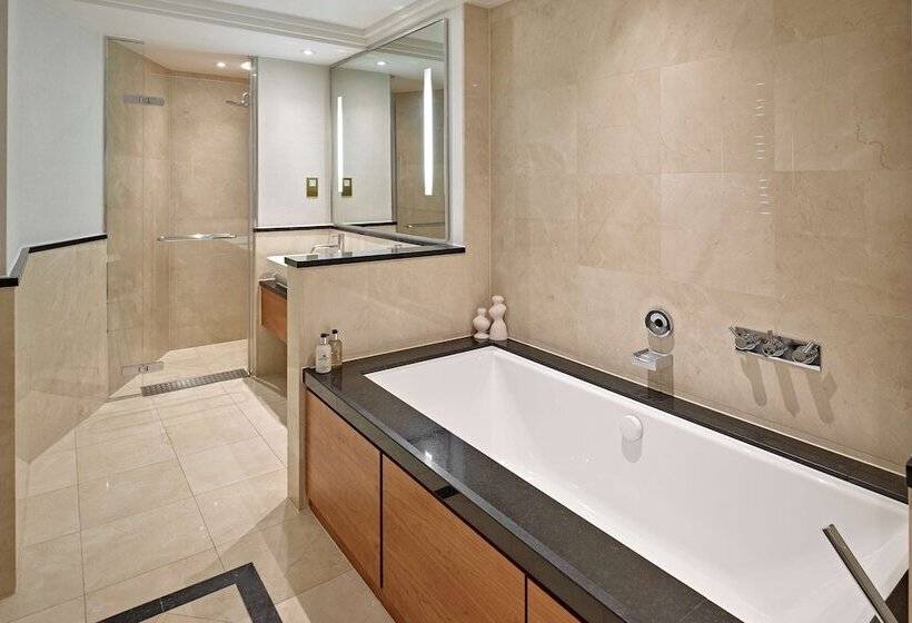 Люкс, London Hilton On Park Lane