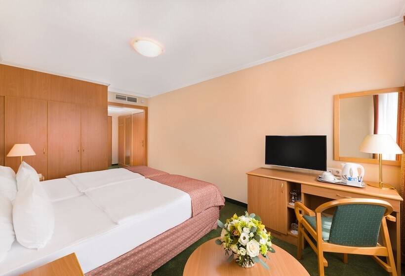스탠다드 룸, Danubius Hotel Arena