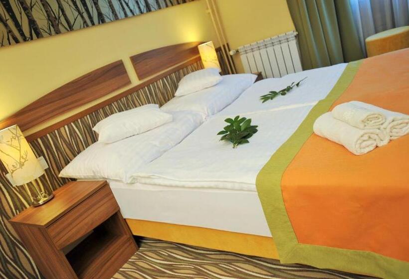 Номер Стандарт, Park Hotel Gyula