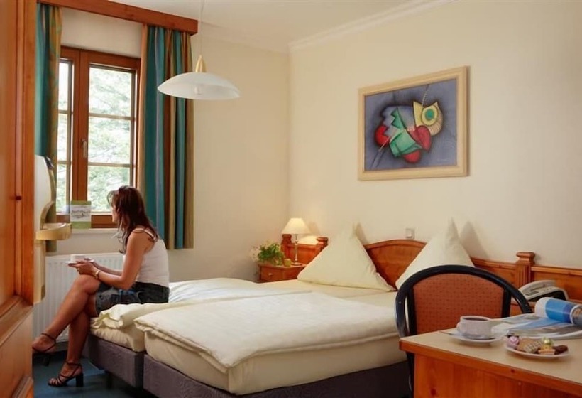 اتاق استاندارد, Logis Hotel Restaurant Petry