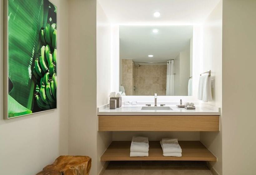 סטודיו סטנדרט מיטה זוגית, Hyatt Regency Aruba Resort & Casino