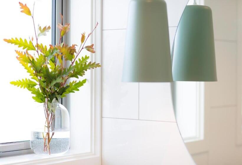 이그제큐티브 스튜디오, Beechwood Boutique Accommodation