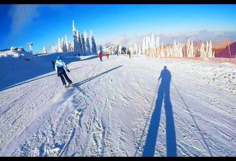 آپارتمان سوپریور 1 خوابه, Alpin Resort