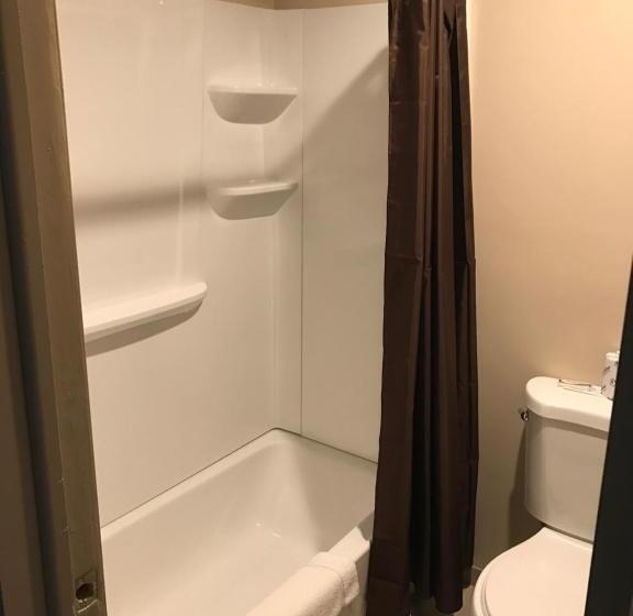 Стандартный Номер Кровать Кинг, Allen Park Motor Lodge