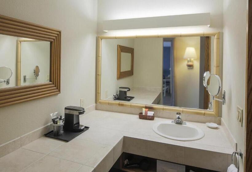 اتاق استاندارد با تخت بزرگ برای معلولان, Bay Club Hotel And Marina