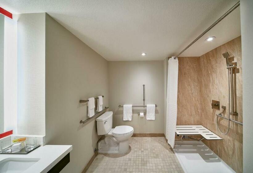 اتاق استاندارد, Horseshoe Las Vegas