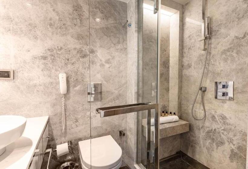 Standard Room with Views, The Marmara Taksim