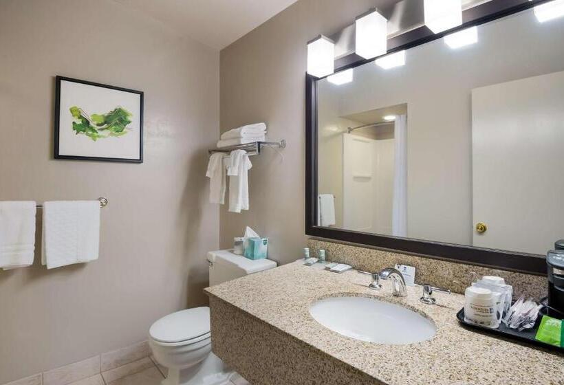 Номер Стандарт, Best Western New Oregon Motel