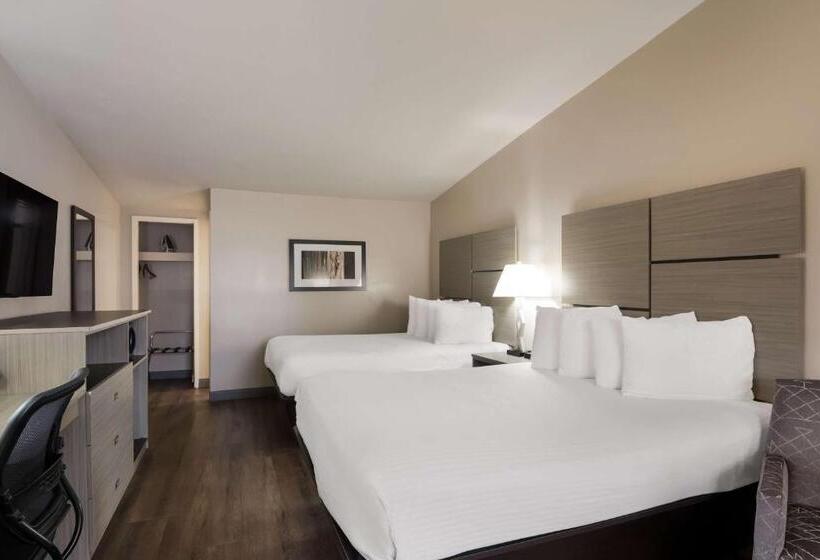 Номер Стандарт, Best Western New Oregon Motel