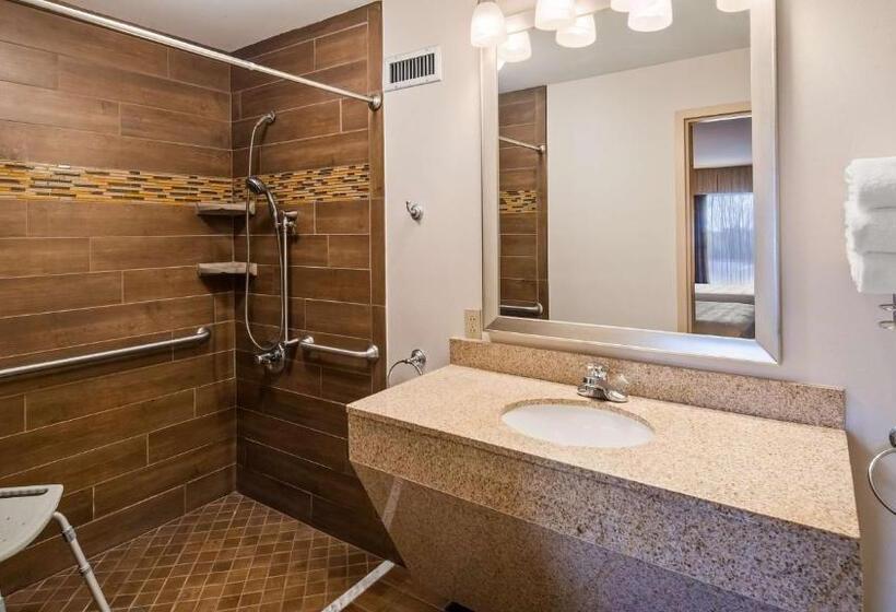 适合残疾人士使用的带超级大床的标准间, Best Western Newport Inn